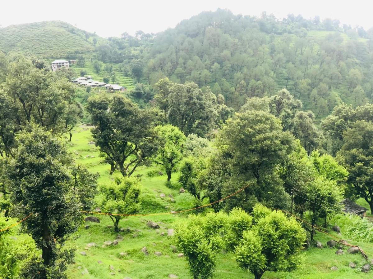 Paradise Inn By Hbr Dharamshala Dış mekan fotoğraf