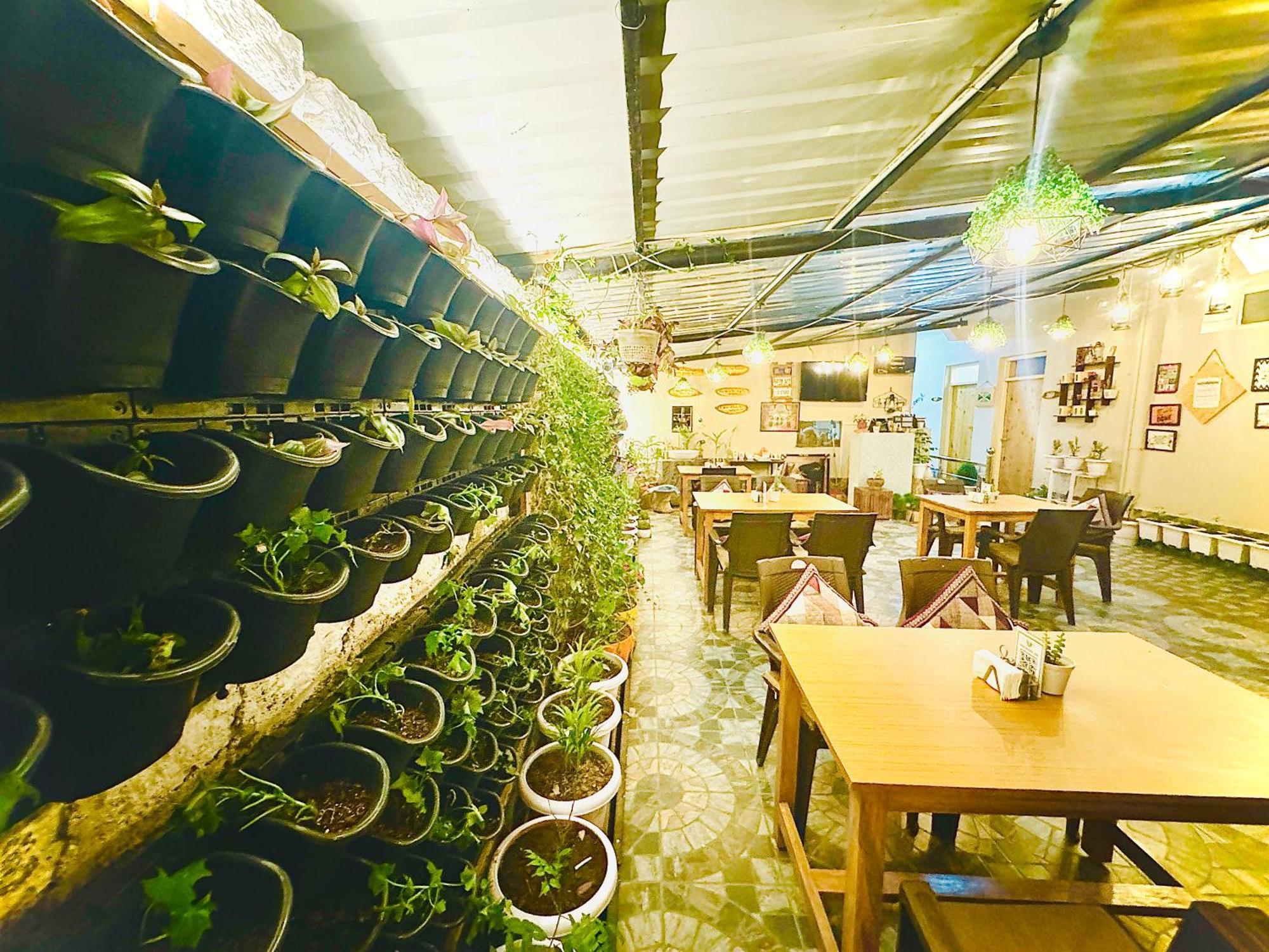 Paradise Inn By Hbr Dharamshala Dış mekan fotoğraf