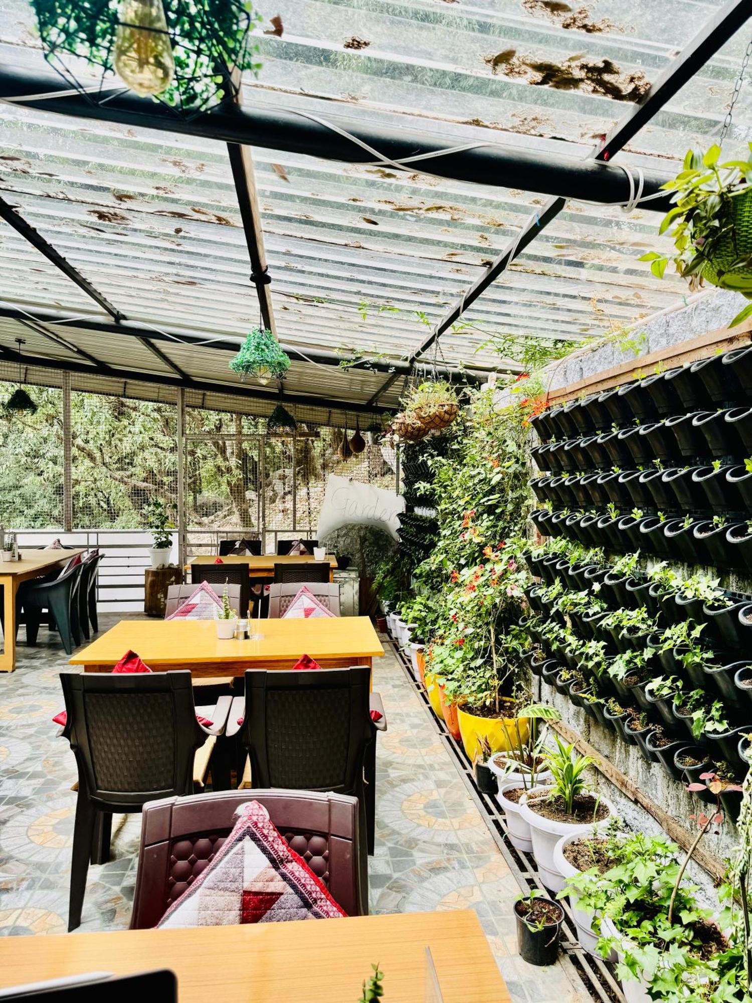 Paradise Inn By Hbr Dharamshala Dış mekan fotoğraf